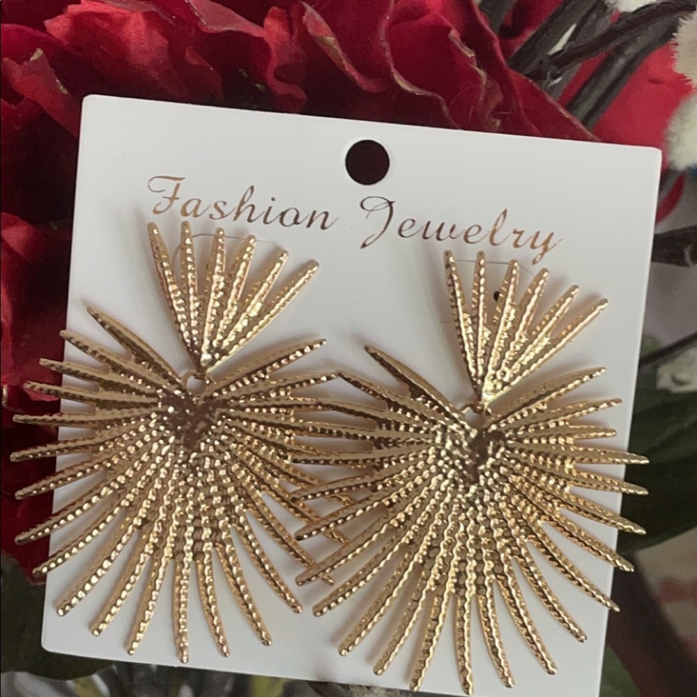 Fashion earrings